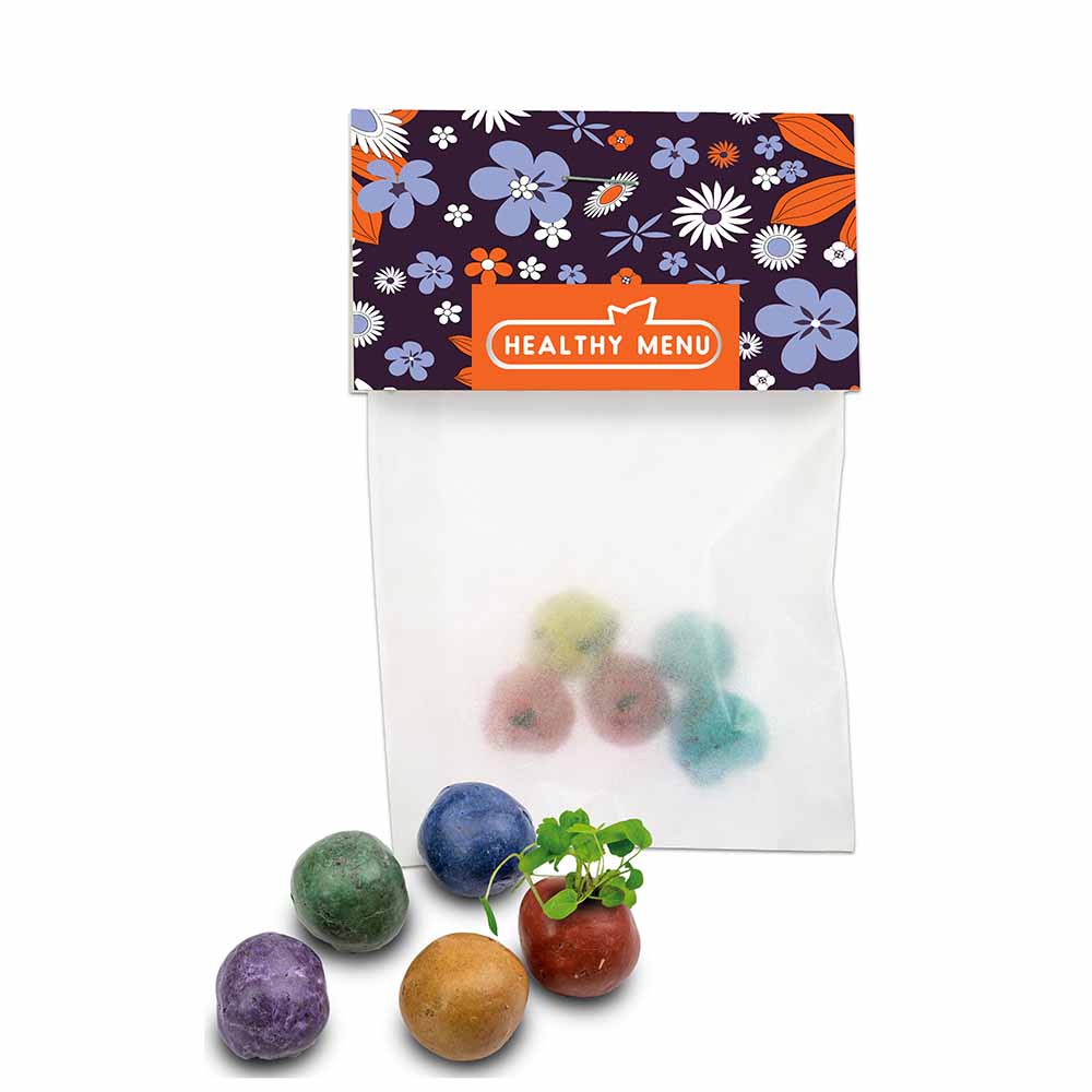 Bunte Mini Flower-Balls mit Samen - individuell